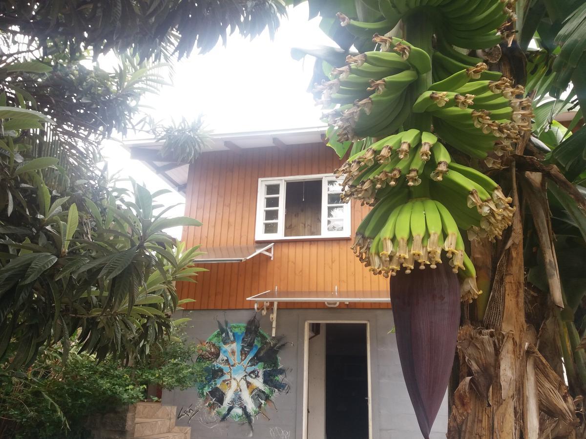 Casa Terra * Florianópolis